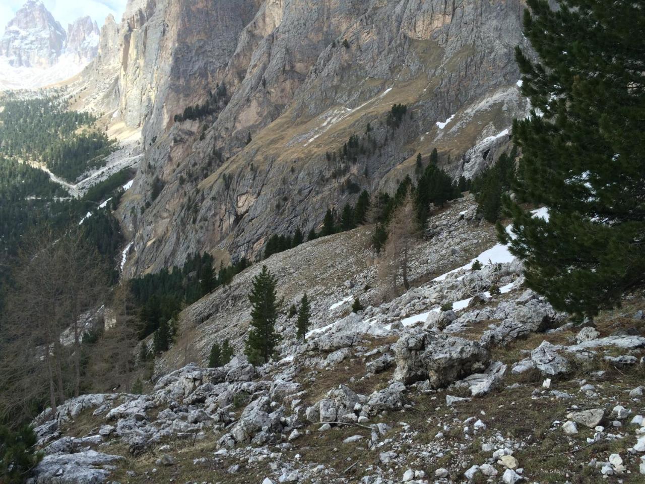 Rifugio Monti Pallidi Канацеї Екстер'єр фото